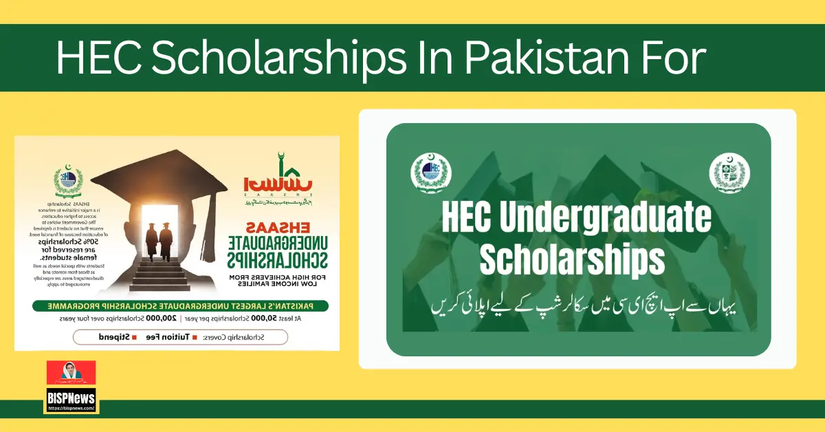 HEC Scholarships In Pakistan For Undergraduate Students