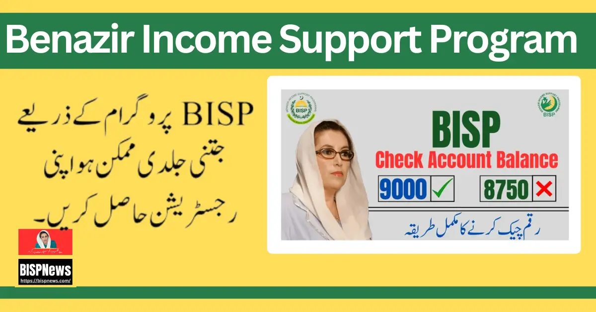 Benazir Income Support Program Check Account Payment Online