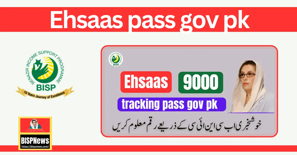 Ehsaas Pass Gov Pk 8171 Online Registration By CNIC 2024