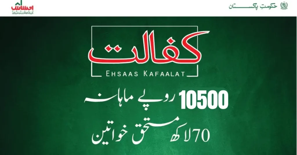 Ehsaas Program Online CNIC Check 8171 BISP (نیو رجسٹریشن فارم)