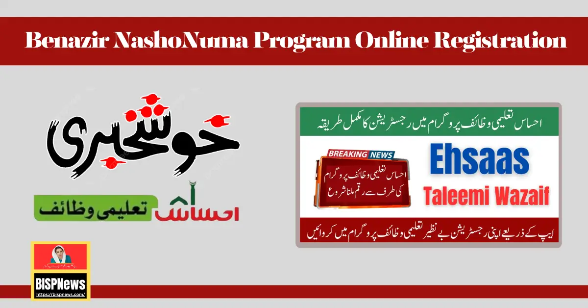 How To Check Ehsaas Taleemi Wazaif Registration Online