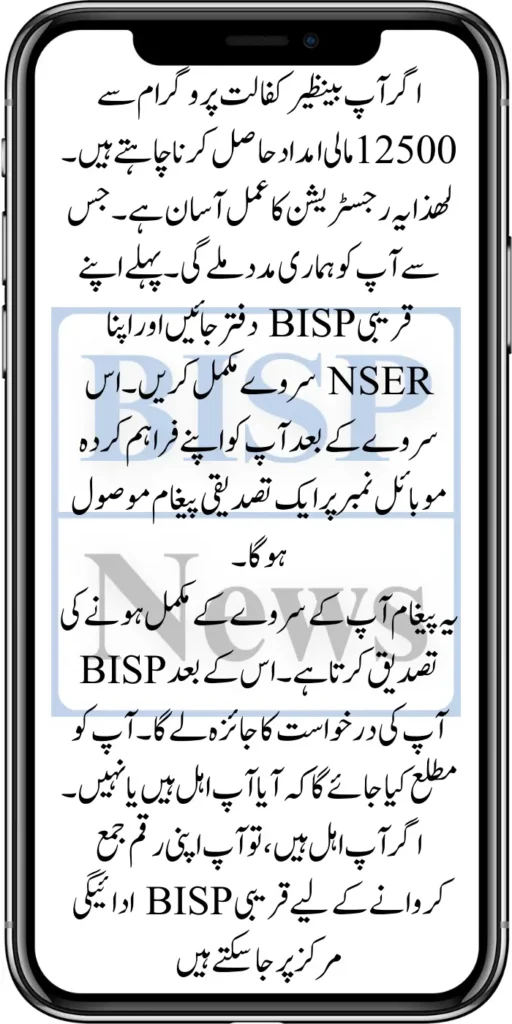 BISP 8171 12500 New Installment Verification Start June Update