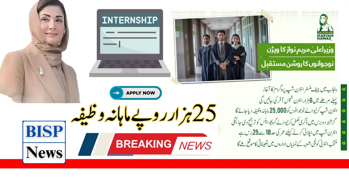 CM Punjab Internship Start 25000/- Per Month For Youth cmip.punjab.gov.pk