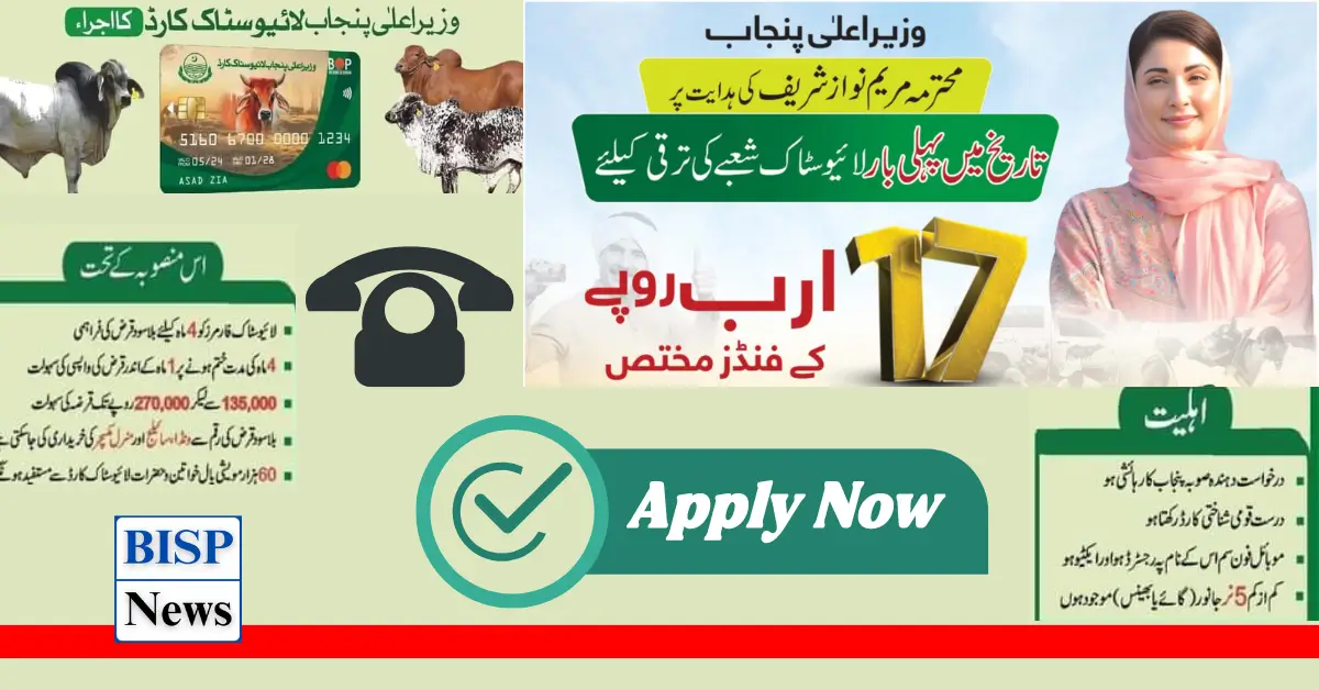 Get 135000 TO 27000 Loan From Live Stock Card By Maryam Nawaz Apply Through livestock.Punjab.Gov.Pk