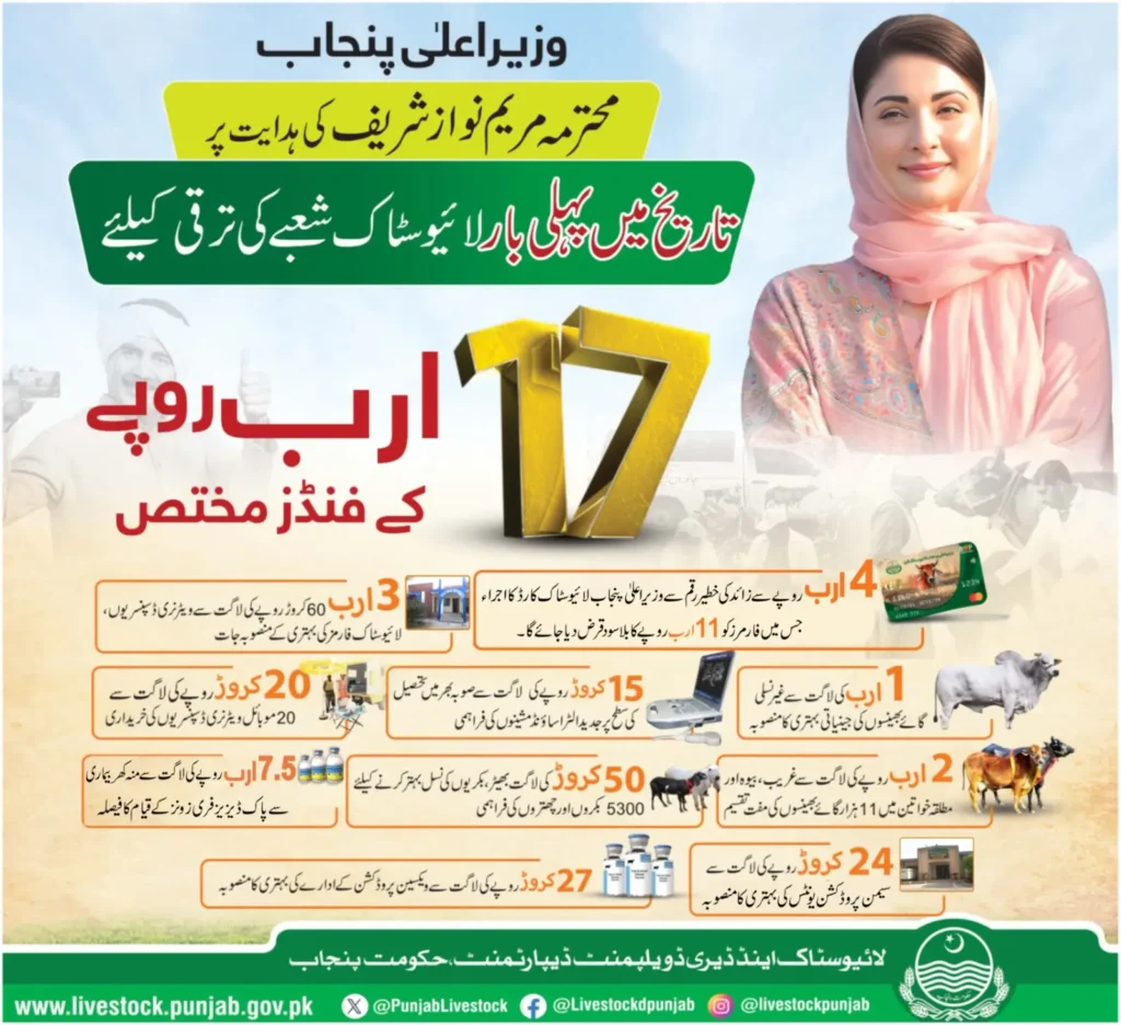 Get 135000 TO 27000 Loan From Live Stock Card By Maryam Nawaz Apply Through livestock.Punjab.Gov.Pk